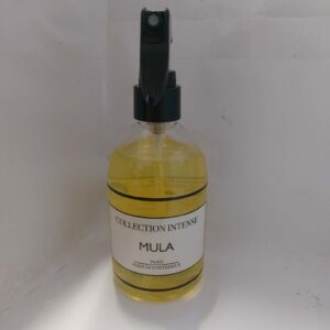 Spray intérieur et textil
