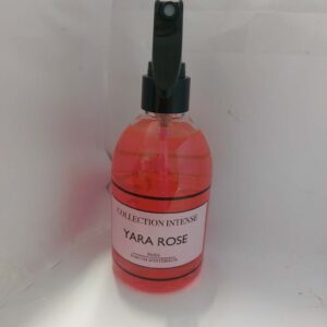Spray intérieur et textil